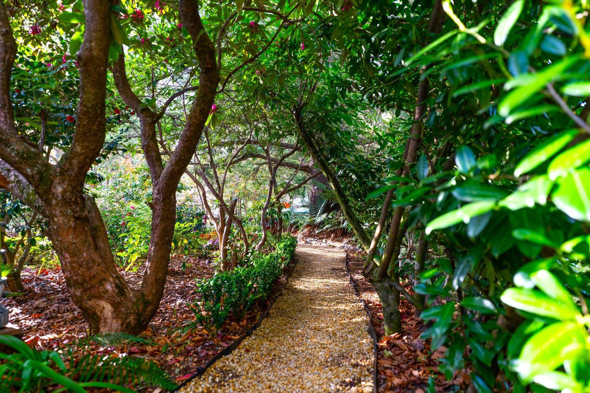 Kubba Roonga Guesthouse - Boutique Luxury Spa Retreat & Gardens - Blue Mountains Blackheath Exterior foto