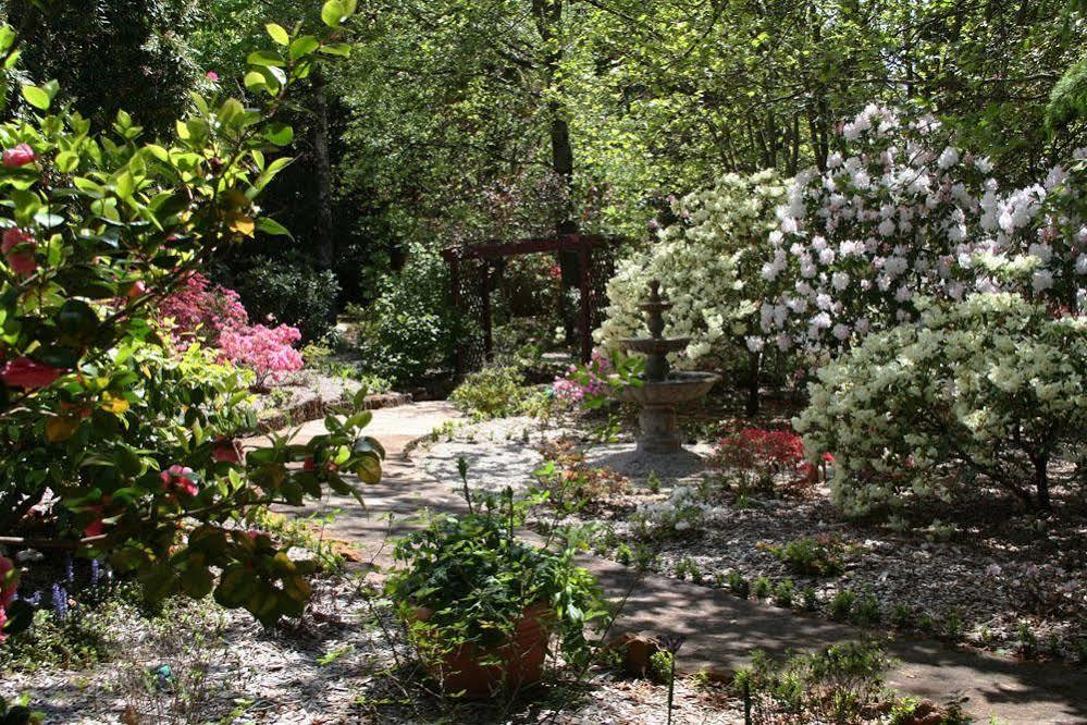 Kubba Roonga Guesthouse - Boutique Luxury Spa Retreat & Gardens - Blue Mountains Blackheath Exterior foto